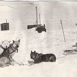 полярники